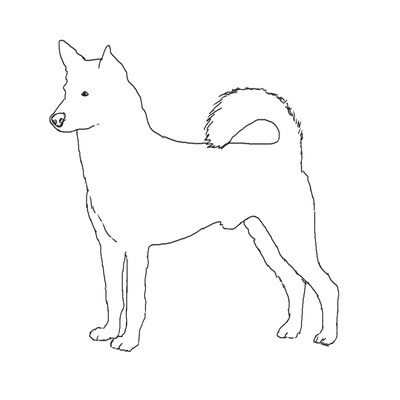 Canaan Dog (Design 5) - Printed Transfer Sheets for a variety of surfaces - image1